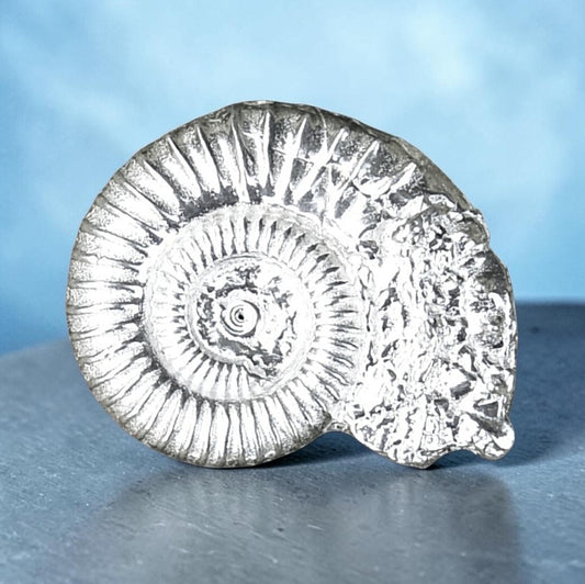 Ammonite Brooch (Fossil Cast), Handcast Pewter, Polished Finish