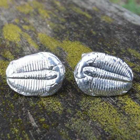 Trilobite Cufflinks, Handcast Pewter Cufflinks, Polished Finish