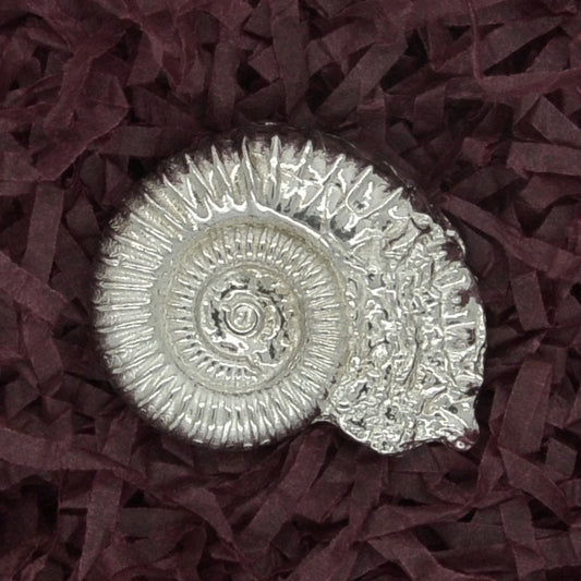 Ammonite Brooch (Fossil Cast), Handcast Pewter, Polished Finish