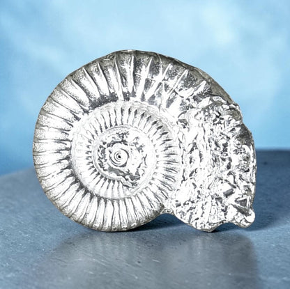 Ammonite Brooch (Fossil Cast), Handcast Pewter, Polished Finish