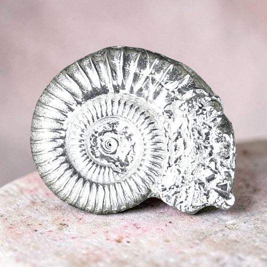 Ammonite Brooch (Fossil Cast), Handcast Pewter, Polished Finish