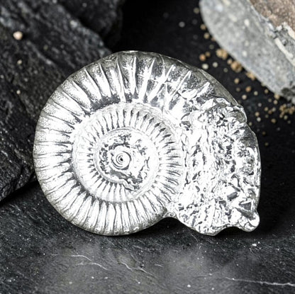 Ammonite Brooch (Fossil Cast), Handcast Pewter, Polished Finish