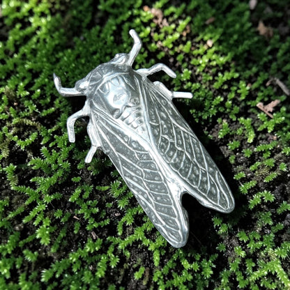 Cicada Brooch, Handcast Pewter, Polished Finish