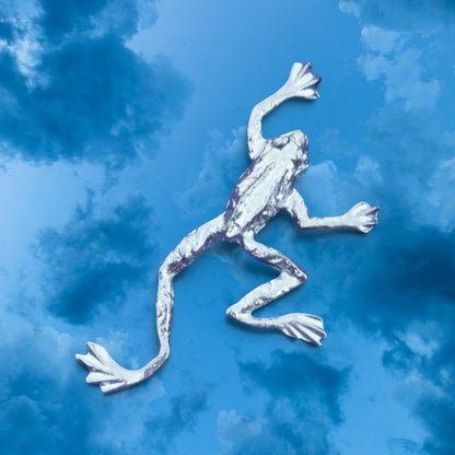 Frog Brooch (Climbing Frog), Handcast Pewter Brooch, Polished Finish