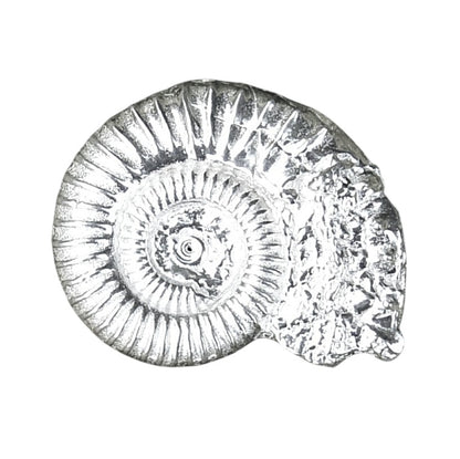 Ammonite Brooch (Fossil Cast), Handcast Pewter, Polished Finish