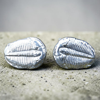 Trilobite Cufflinks, Handcast Pewter Cufflinks, Polished Finish