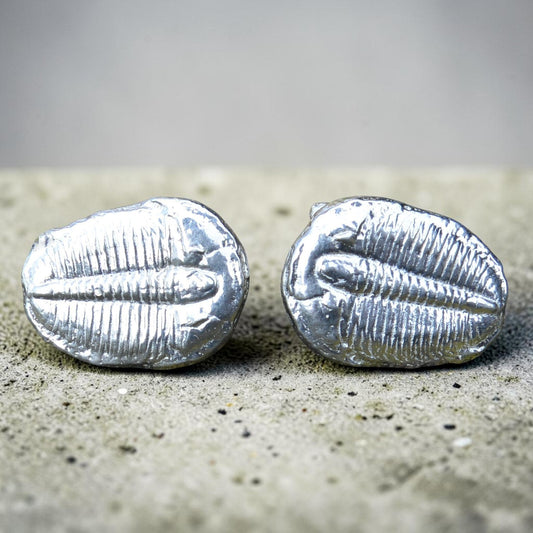 Trilobite Cufflinks, Handcast Pewter Cufflinks, Polished Finish
