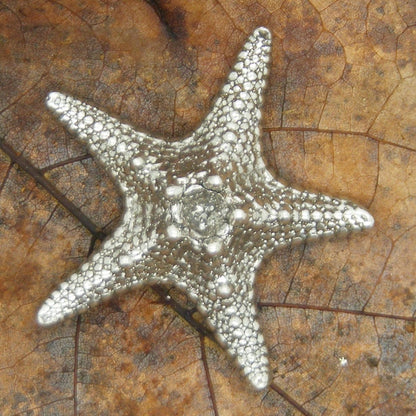 Starfish Figurine, Miniature Starfish, Handmade, in Fine Pewter, by William Sturt