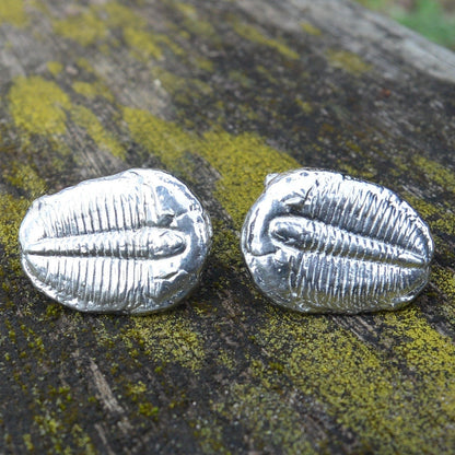 Trilobite Cufflinks, Handcast Pewter Cufflinks, Polished Finish