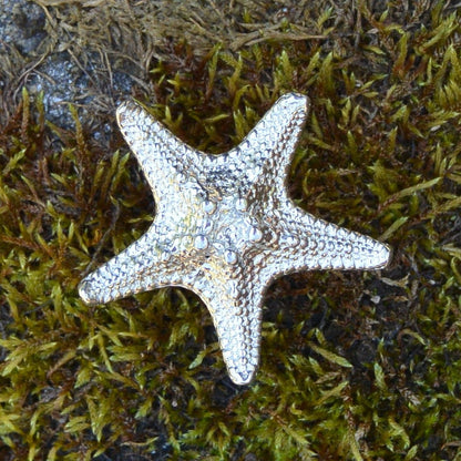 Starfish Kitchen Knobs, Starfish Drawer Knob, Starfish Cabinet Knobs, Handmade, in Fine Pewter, by William Sturt
