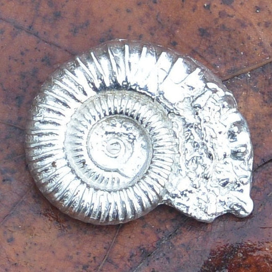 Ammonite Scarf Ring, Fossil Scarf Ring, Handmade Jewellery,  Hand cast Jewellery, in Fine Pewter, by William Sturt