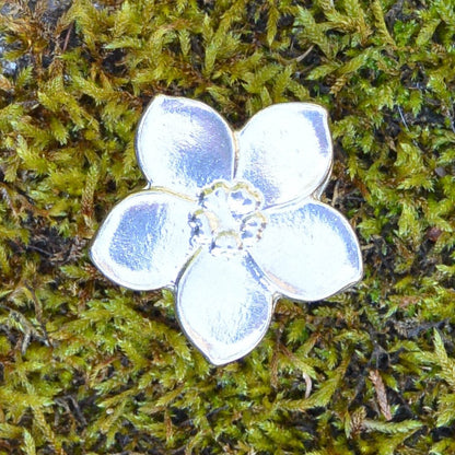 Forget Me Not Kitchen Knobs, Flower Drawer Knobs, Cabinet Knobs, Handmade, in Fine Pewter, by William Sturt
