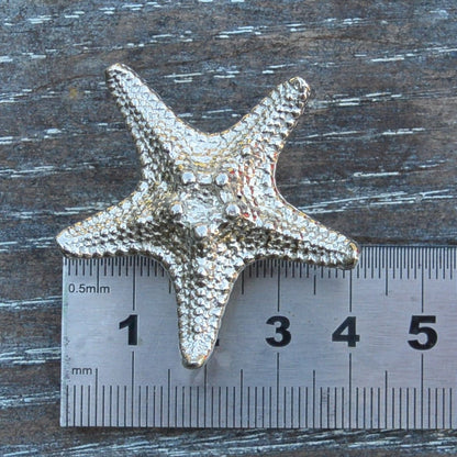 Starfish Kitchen Knobs, Starfish Drawer Knob, Starfish Cabinet Knobs, Handmade, in Fine Pewter, by William Sturt