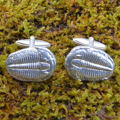 Trilobite Cufflinks, Handcast Pewter Cufflinks, Polished Finish