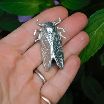 Cicada Brooch, Handcast Pewter, Polished Finish