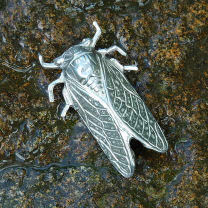 Cicada Brooch, Handcast Pewter, Polished Finish