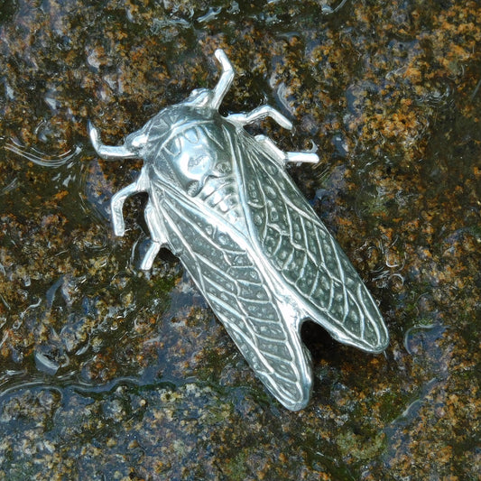 Cicada Brooch, Handcast Pewter, Polished Finish