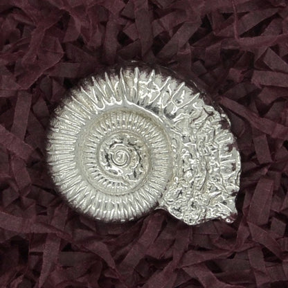 Ammonite Brooch (Fossil Cast), Handcast Pewter, Polished Finish