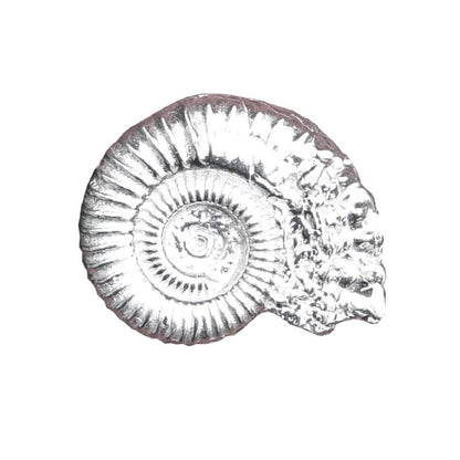 Ammonite Brooch (Fossil Cast), Handcast Pewter, Polished Finish