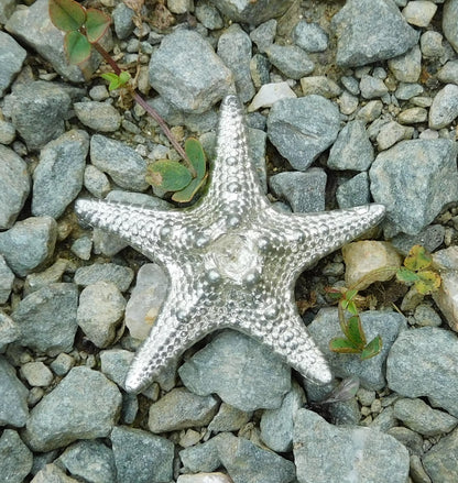 Starfish Brooch, Handcast Pewter, Polished Finish