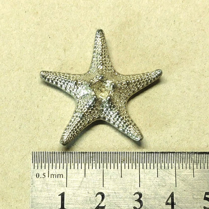 Starfish Brooch, Handcast Pewter, Polished Finish